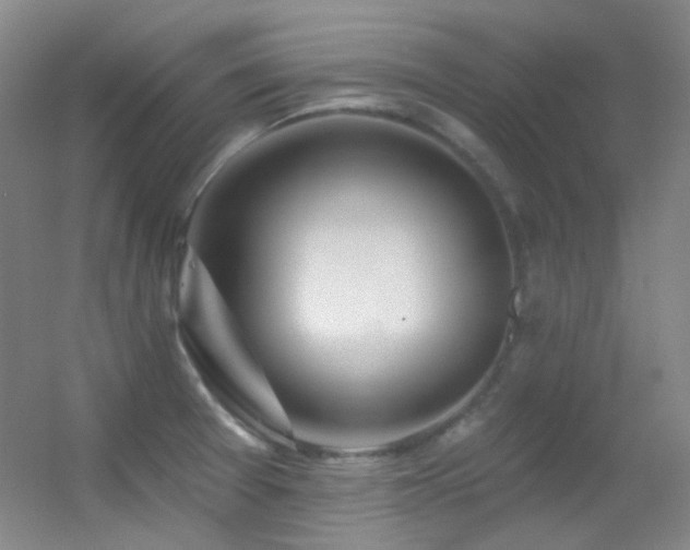 X0000055521377200508121032