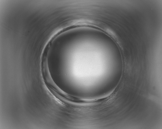 X0000055521384200508121032