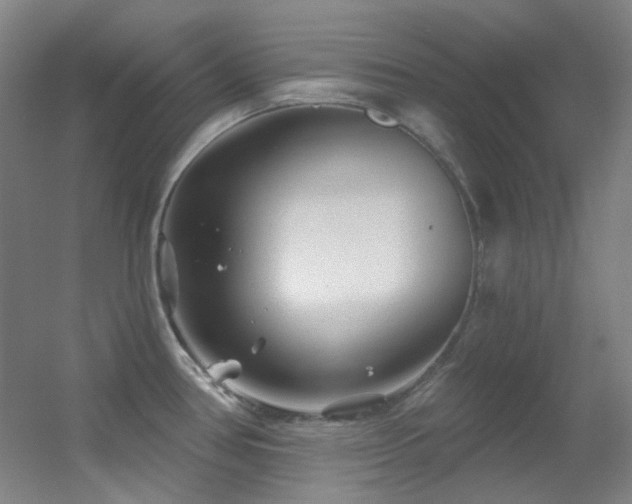 X0000055521386200508121032