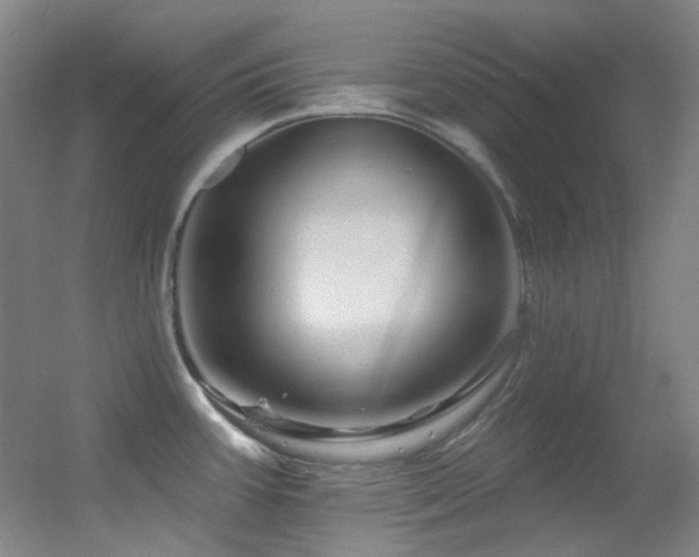 X0000055521387200508121032