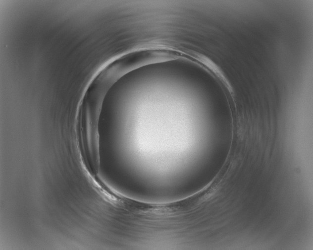 X0000055521388200508121032