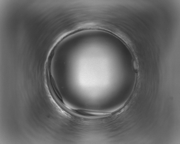 X0000055521392200508121032
