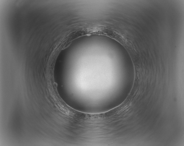 X0000055521393200508121031