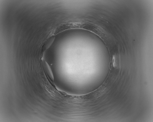 X0000055521395200508121031