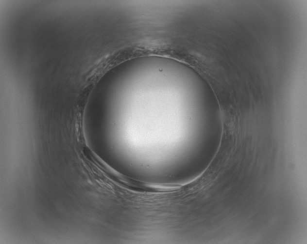 X0000055521397200508121031