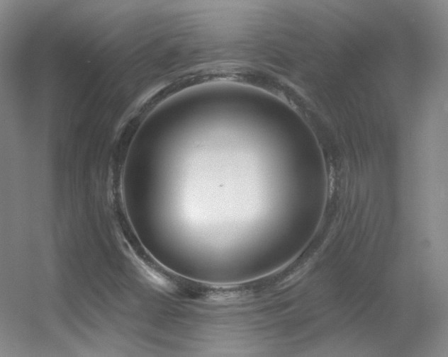 X0000055521402200508121031