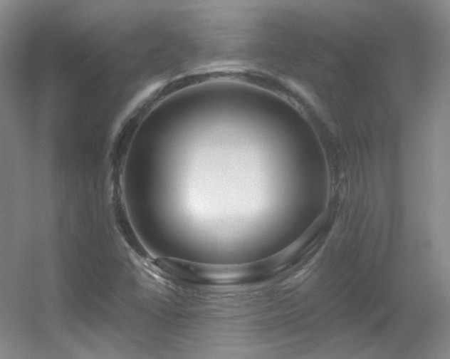 X0000055521406200508121031