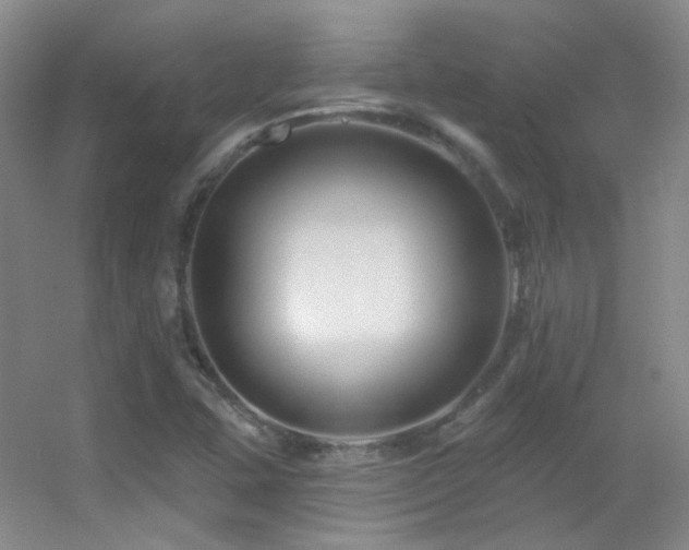 X0000055521407200508121031