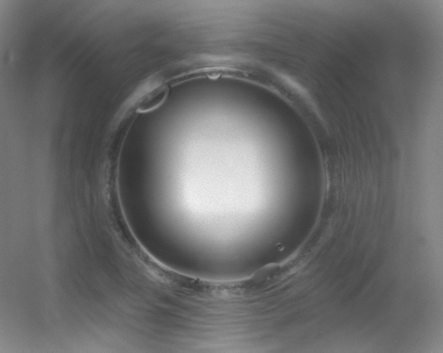 X0000055521411200508121031