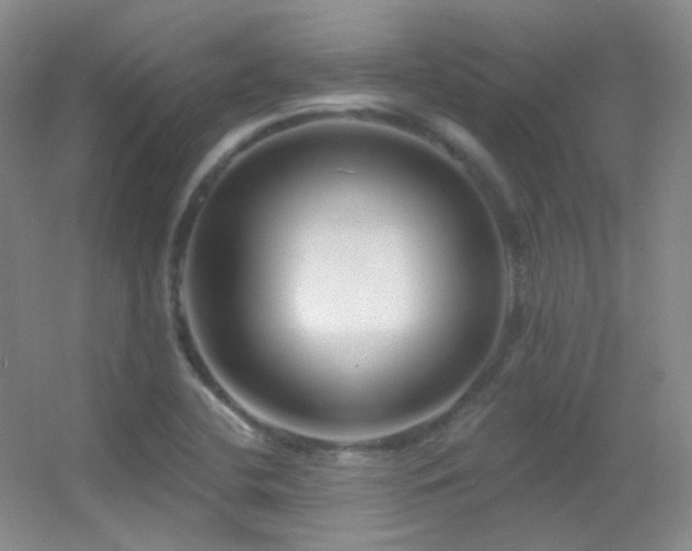 X0000055521412200508121031