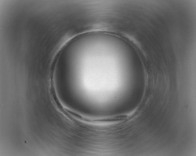 X0000055521415200508121031