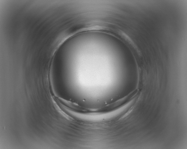 X0000055521417200508121031
