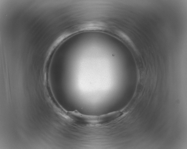 X0000055521419200508121031
