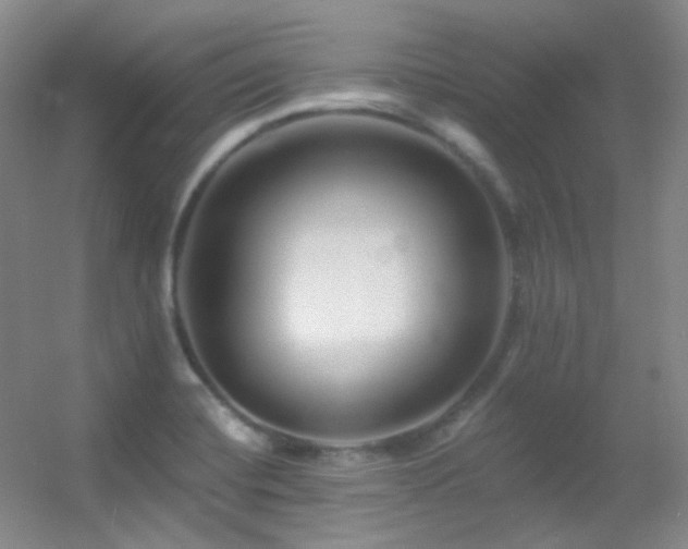 X0000055521420200508121031