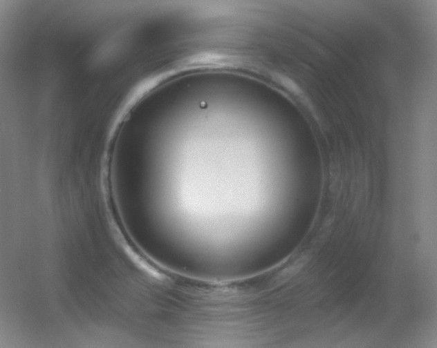X0000055521421200508121031