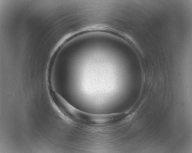 X0000055521422200508121031