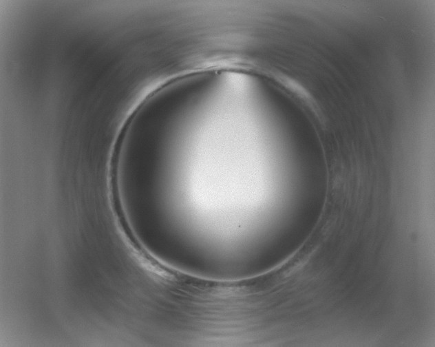X0000055521423200508121031