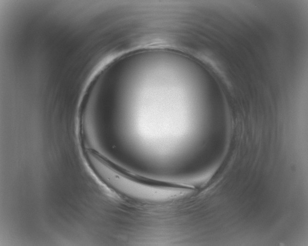 X0000055521424200508121031