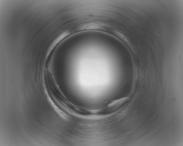 X0000055521426200508121031