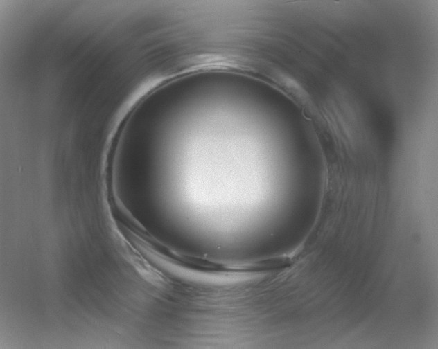 X0000055521427200508121031