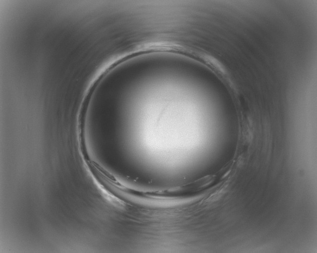 X0000055521430200508121031