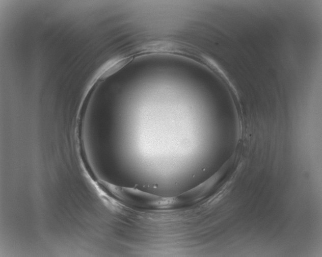 X0000055521434200508121032