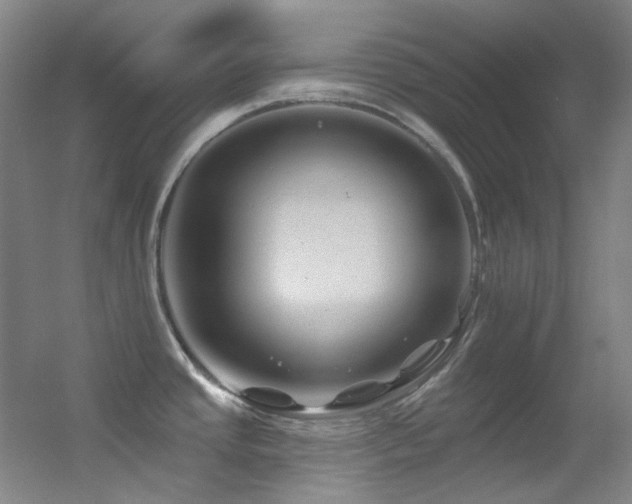 X0000055521437200508121032
