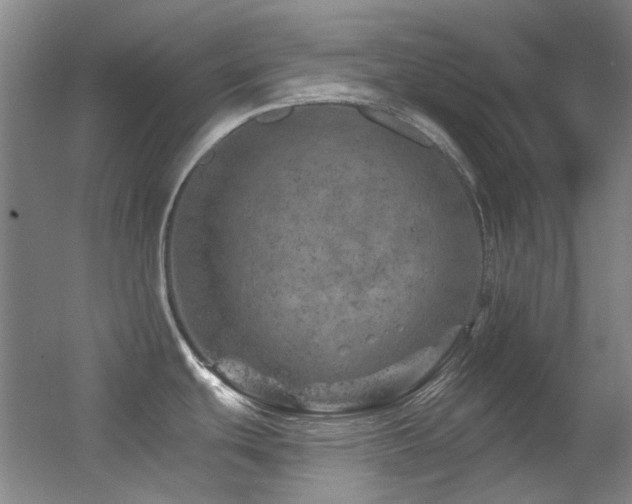X0000055521439200508121032