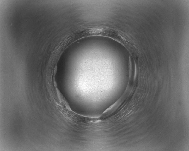 X0000055521441200508121031