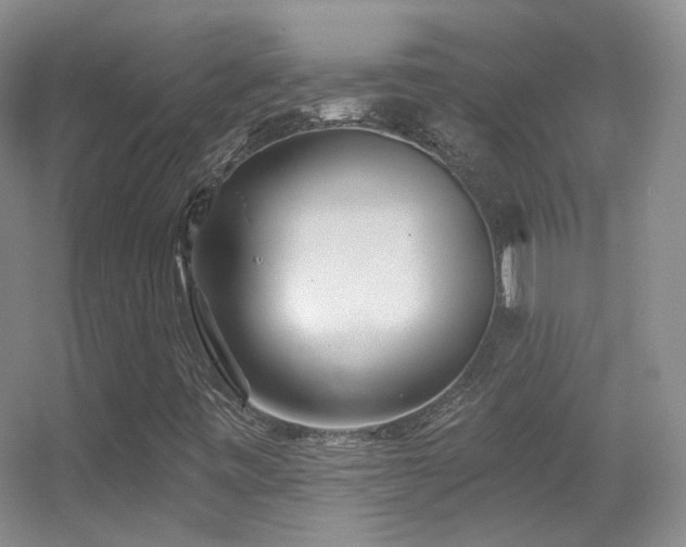 X0000055521443200508121031