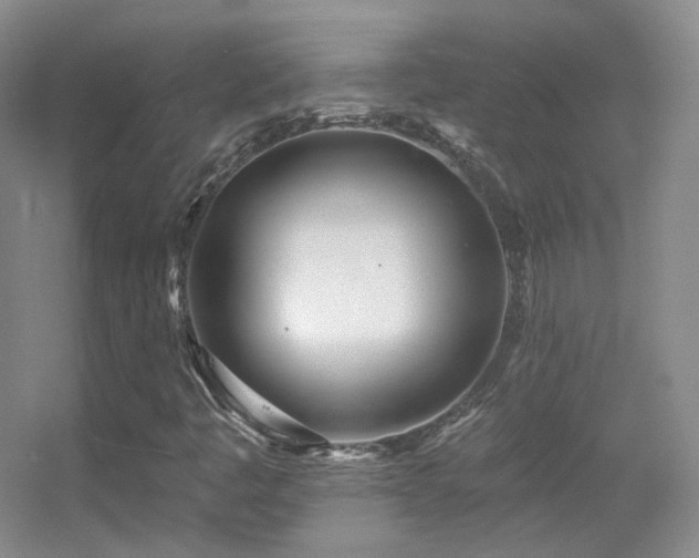 X0000055521445200508121031