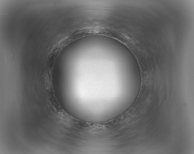 X0000055521446200508121031