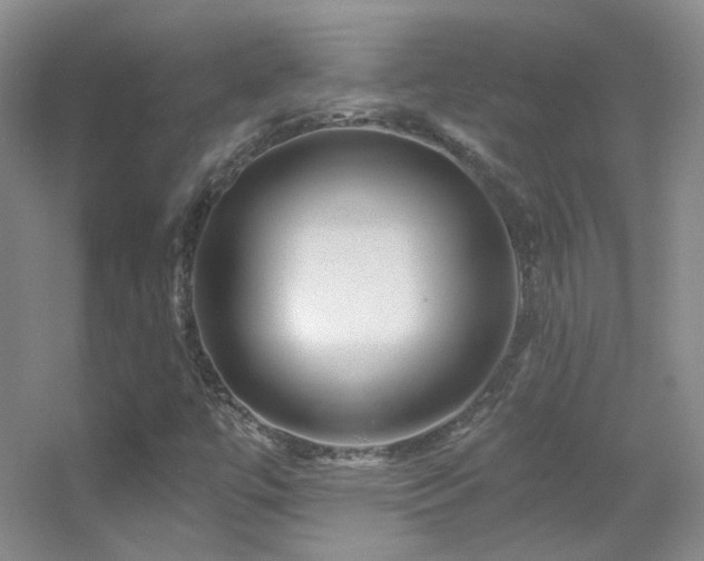 X0000055521447200508121031