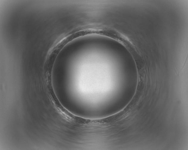 X0000055521448200508121031