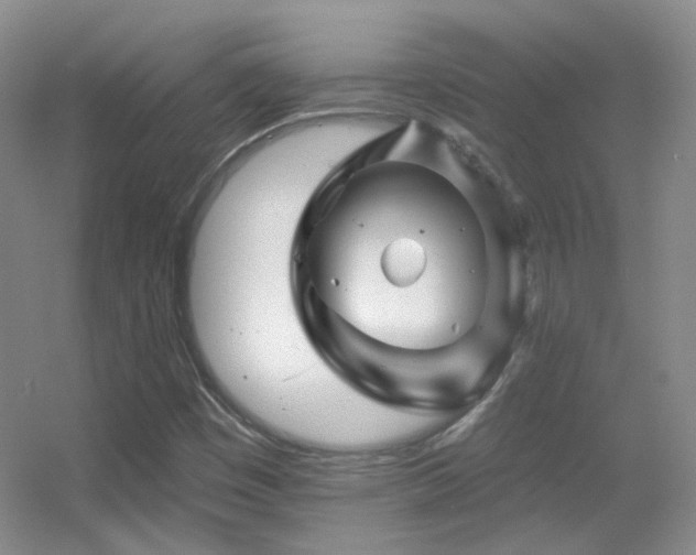 X0000055521449200508121031