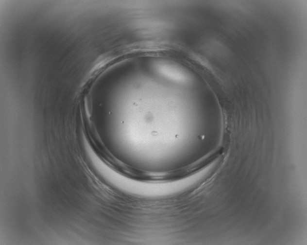 X0000055521451200508121031