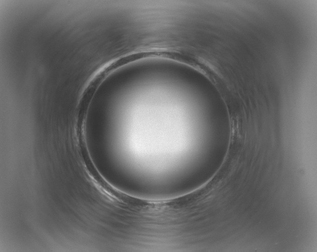 X0000055521452200508121031