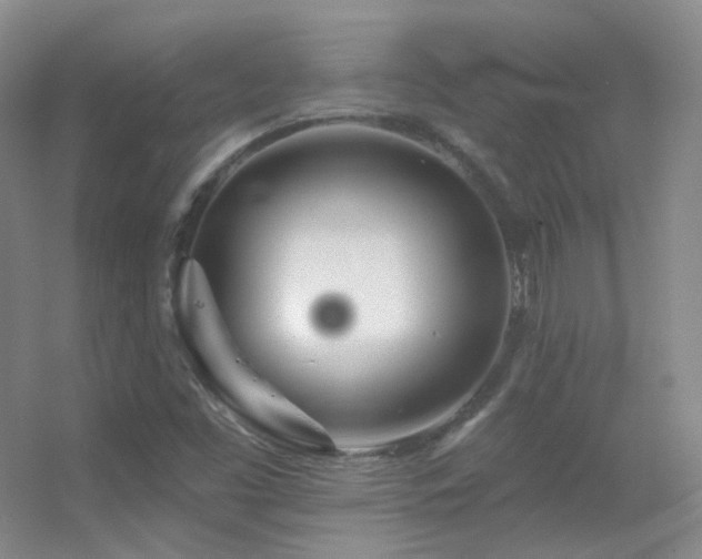 X0000055521453200508121031