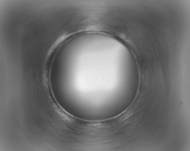 X0000055521454200508121031
