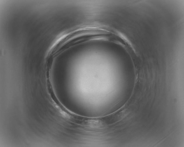 X0000055521456200508121031