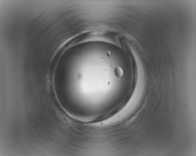 X0000055521457200508121031