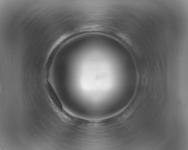 X0000055521458200508121031