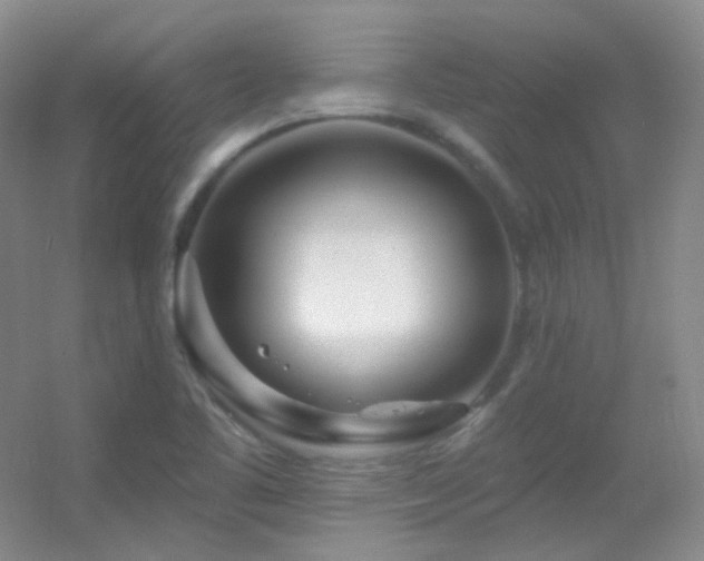 X0000055521461200508121031