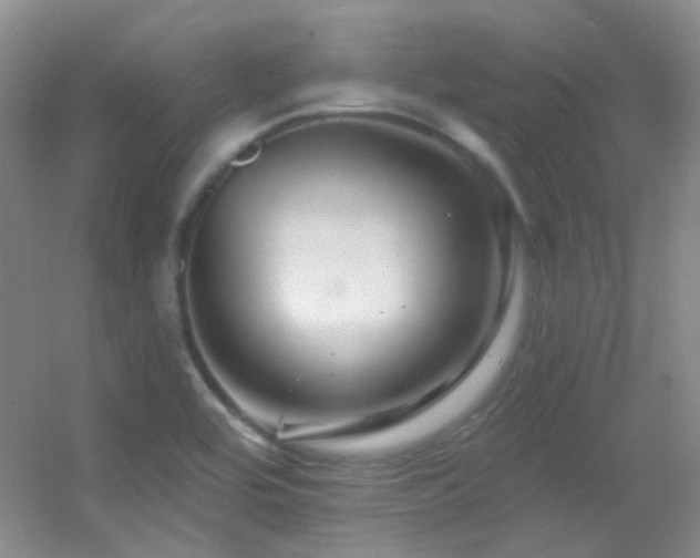 X0000055521464200508121030