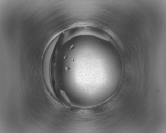 X0000055521465200508121030