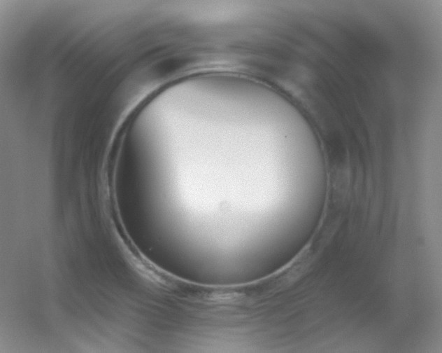 X0000055521466200508121030