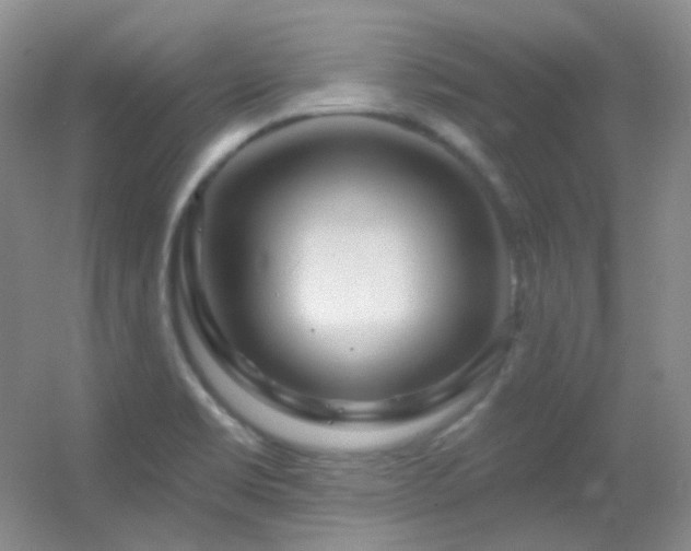 X0000055521469200508121030