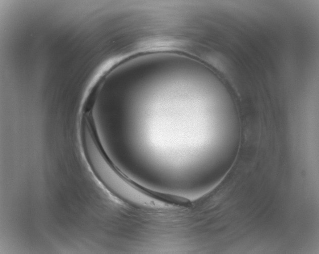 X0000055521472200508121030
