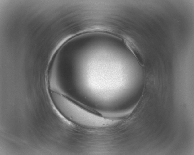 X0000055521476200508121030