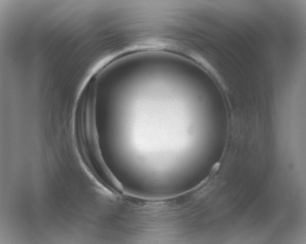 X0000055521477200508121030